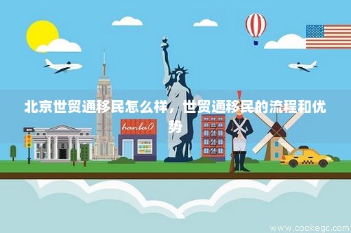 北京世贸通移民怎么样，世贸通移民的流程和优势